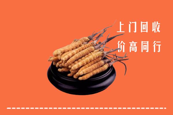 高价求购：济源市回收散虫草