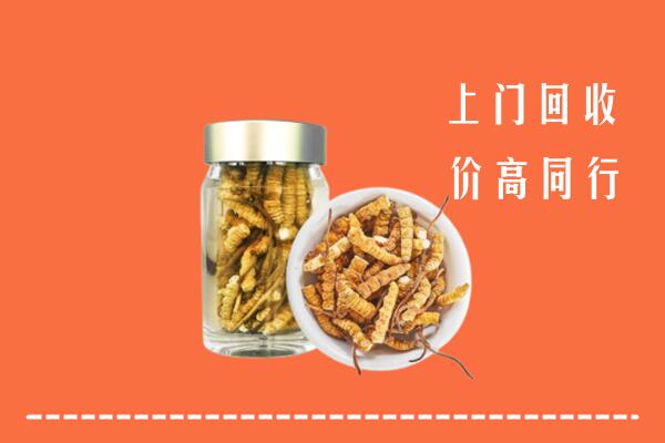 济源市高价回收冬虫夏草
